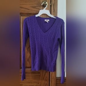 Arizona Jean Company Purple V-Neck Long Sleeve Sweater